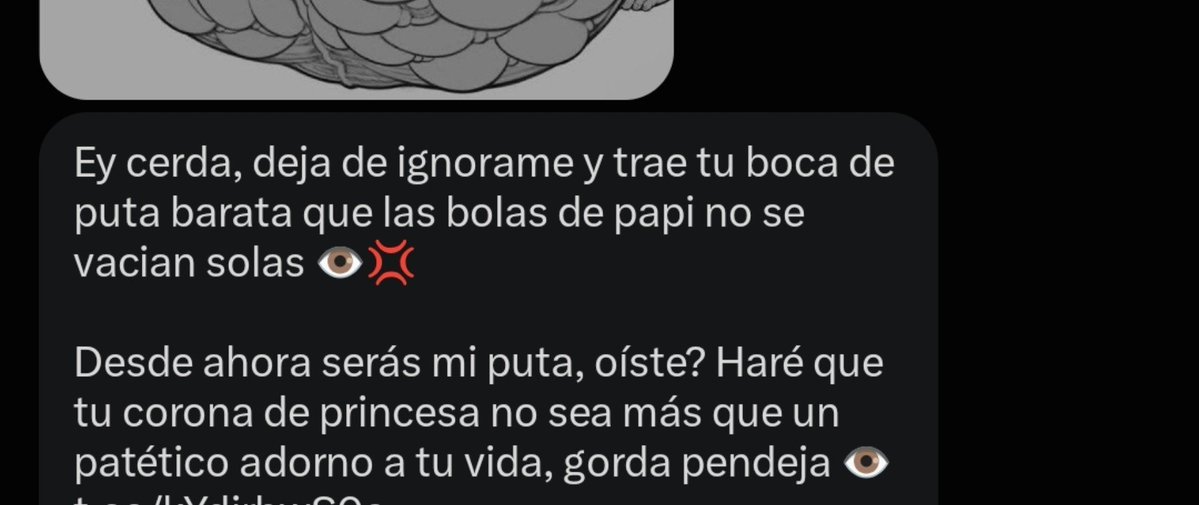 Lynx_Wolfy's tweet photo. X: Blaze, porque casi nunca respondes las solicitudes de mensaje? 

El tipo de mierdas que me llegan:

(Ya mejor borro la cuenta y me quedo rodeando con IA 💔) https://t.co/6gfA17Bk9U