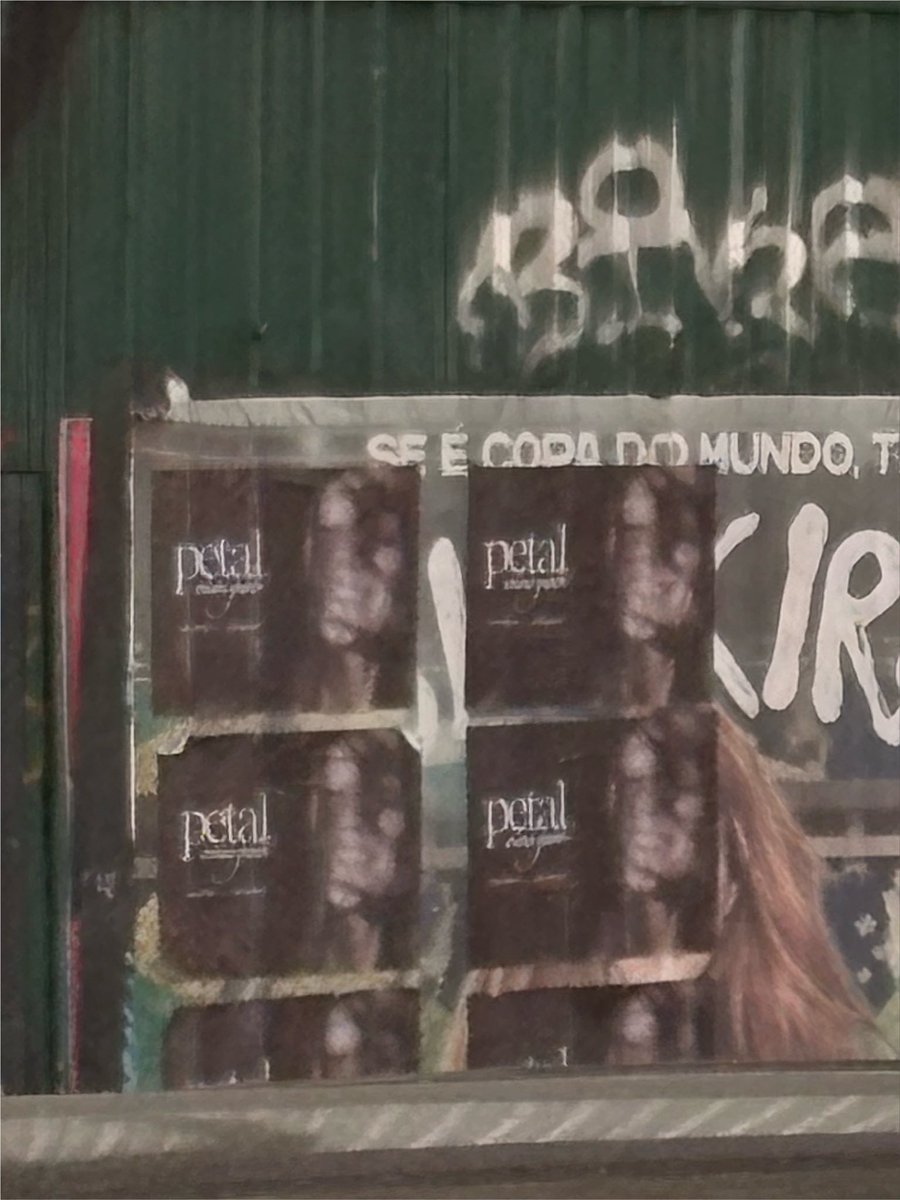 accessarianabr's tweet photo. 🚨Pôsteres do 'petal' também estão espalhados por São Paulo.🇧🇷 https://t.co/fv0VxMIhMY