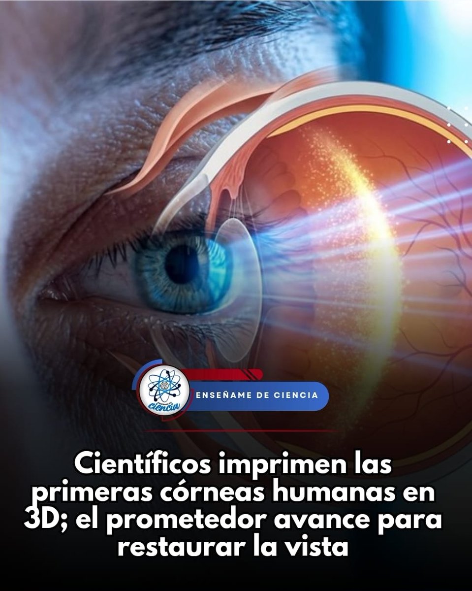 EnsedeCiencia's tweet photo. Este avance se realizó en 2018, por un equipo científico de la Universidad de Newcastle fue el encargado de la impresión de córneas humanas en 3D haciendo uso de una biotina de colágeno con células. La bioimpresión 3D es <<una tecnología emergente que se puede aprovechar para la fabricación de tejido biológico para aplicaciones clínicas>> se describe en el artículo.