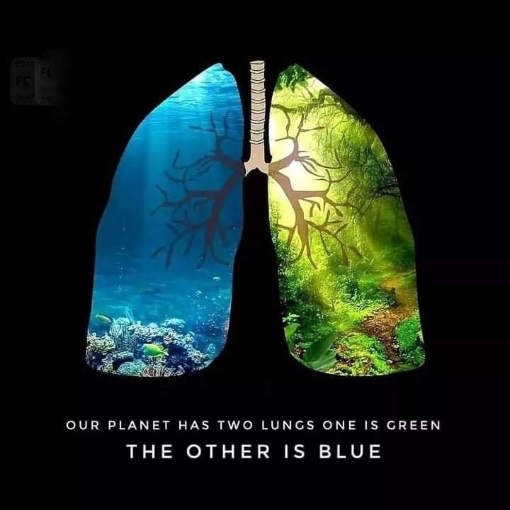BillEaster10's tweet photo. #ClimateChangeIsReal #ClimateCrisis #ThereIsNoPlanetB #ClimateActionNow #BeTheChange4Earth #ClimateEmergency
#StayIndoorsAdvisories issued in #6UsStates as #WildfireCarryingToxins fills the air
Source: Daily Mail #Colorado #Wildfire #Weather
https://t.co/AOZFiOge7O https://t.co/KAfetgCdac