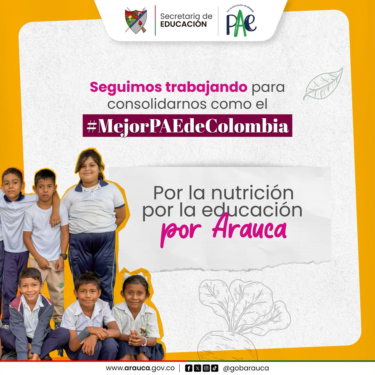 GobArauca's tweet photo. ¡No más niños sin PAE!

Más de $63.200 millones garantizan el PAE en 2026, alcanzando la cobertura universal en los 7 municipios araucanos.

Estamos al 100% con el #MejorPAEdeColombia https://t.co/WqzgKo3x7q