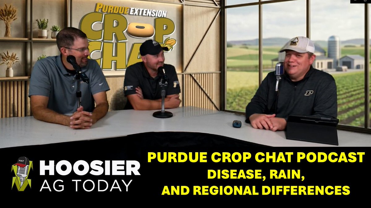 hoosieragtoday's tweet photo. 🌽 On the latest Purdue Crop Chat Podcast, Dan Quinn and Shaun Casteel break down growing disease concerns like Gray Leaf Spot and explain why pressure, such as Gray Leaf Spot, varies from field to field.

WATCH: https://t.co/6L7MckUVg3 https://t.co/kB6NL4zKrc