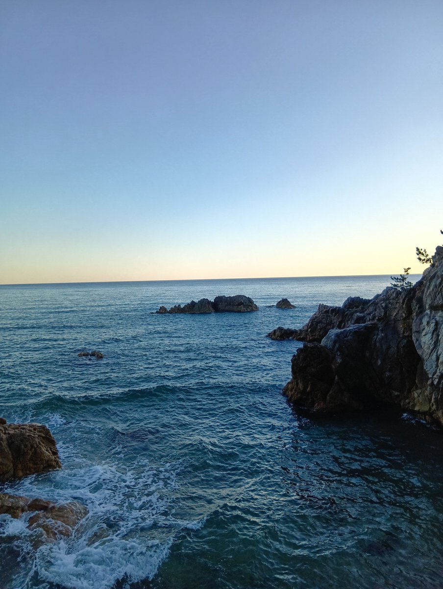 nekosogi1091's tweet photo. 今年も相変わらず綺麗で凄い透明度😎
天気も良いし夏を満喫🌊☀ https://t.co/BqR8LQpwTP