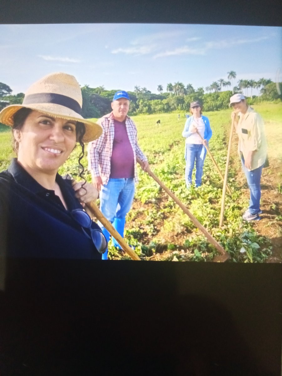 felix_marrero59's tweet photo. 🇨🇺🇨🇺 Participamos #Hoy una representación de trabajadores de #Coralsa en labores de apoyo en la finca de autoconsumo del MINAL.
#CreceConCoralsa
@coralsacuba
@minalcuba https://t.co/UZC9z7QiUe