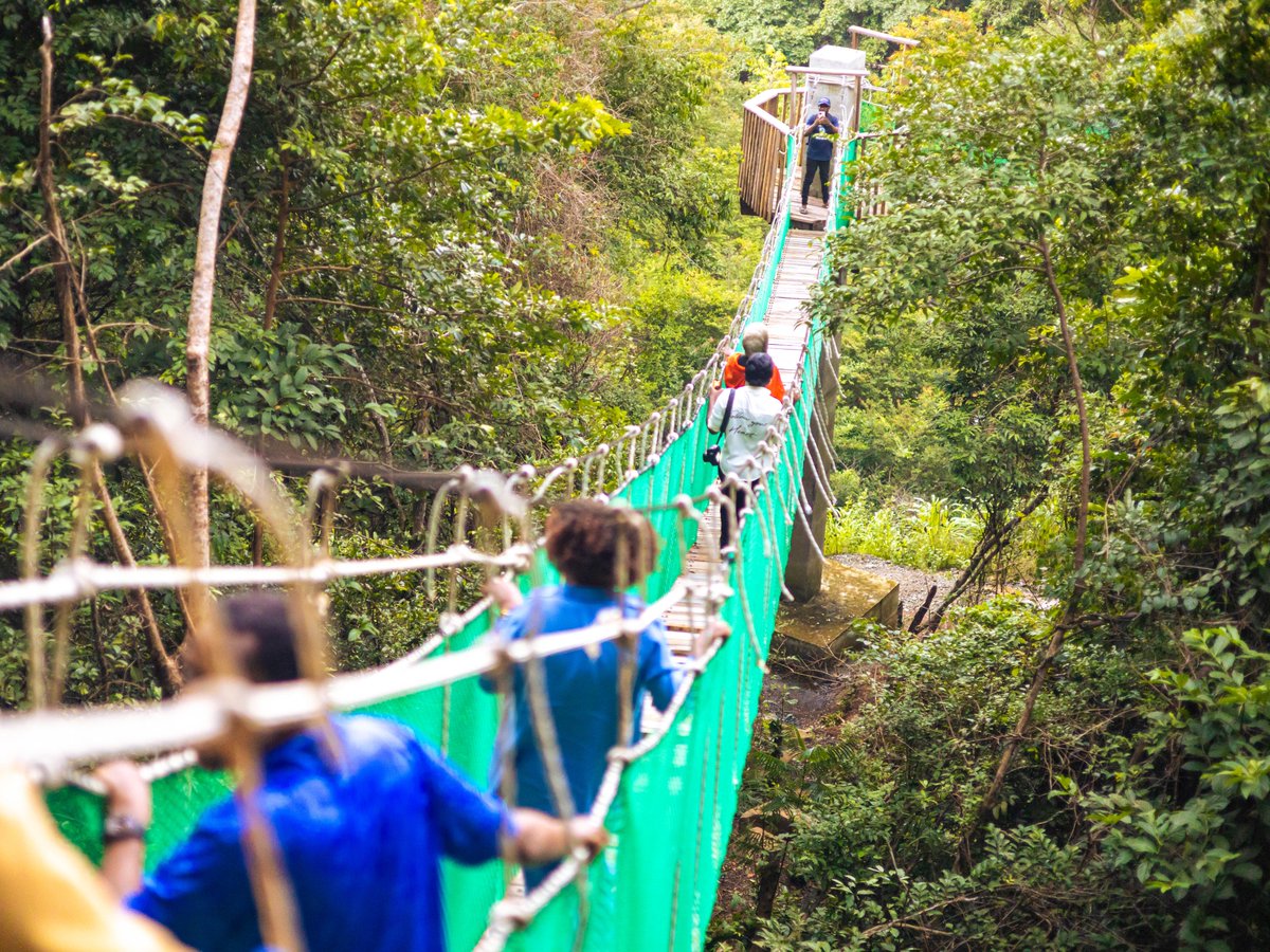 UNDPSierraLeone's tweet photo. Delegates from @UNDP_Lesotho  the Govt of 🇱🇸 visited the @slparliament , Ministry of Foreign Affairs & the upcoming @Tacugama canopy walkway.

The engagements demonstrated how @UNDPSierraLeone integrates development finance across inclusive governance, peace, diplomacy & biodiversity conservation.🇸🇱🤝🇱🇸
@clerkPOSL @UNDPAfrica @FredAmpiah @tayeAmssalu