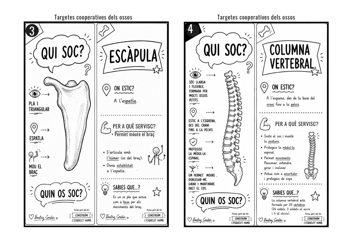 BeatrizCerdan's tweet photo. Después de muchas horas de trabajo… ¡ya está terminado! 💚

Un juego de 22 tarjetas cooperativas para aprender los huesos del cuerpo humano con la técnica Pi-Ma-Pa (Pies-Manos-Manos-Pareja). https://t.co/JGfbvHHUrT https://t.co/d0viy7QoQF