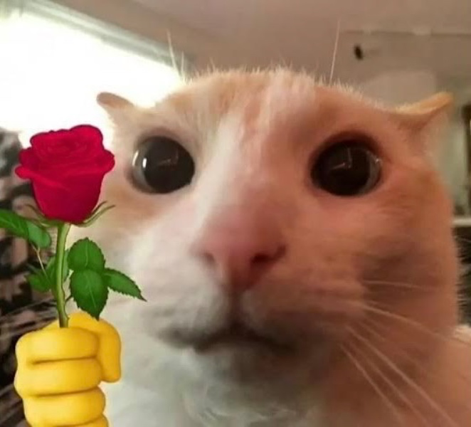 itachigirlie's tweet photo. (automatic post) i’m hoping + trying to surprise my disabled mom with her own nintendo switch 2 to help her mental health. i'd really appreciate any help/support with this special gift 💗 thank you so so so much
 https://t.co/A1qudtMZmc https://t.co/T3p8PvZfXJ
