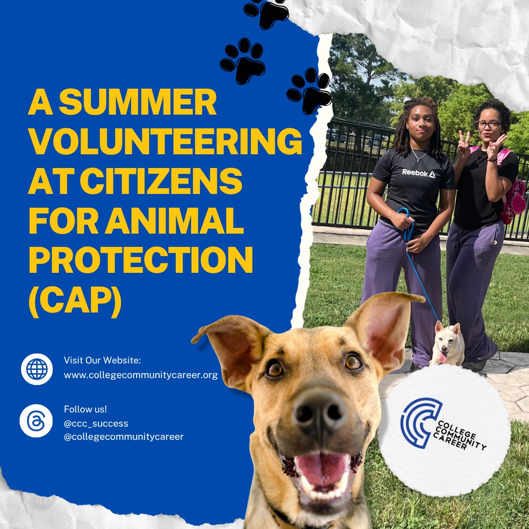 CCC_Success's tweet photo. On July 8, CCC students volunteered at CAP, where they spent time with animals waiting for their forever homes while learning the value of compassion, service, and giving back to the community. Thank you for having us @cap4pets !🐾 
#collegecommunitycareer #firstgen https://t.co/lc26VIHNnl
