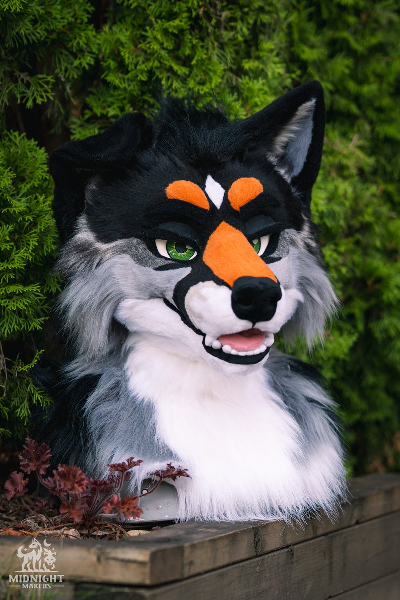 MidnightMkrs's tweet photo. Leadpaw's head is complete! 🐺 https://t.co/E0alcTUYOM