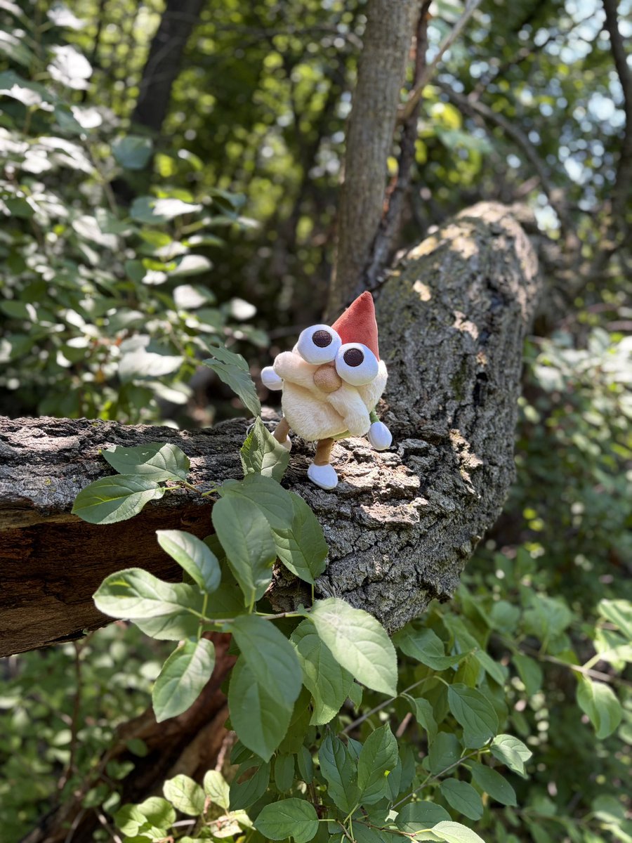 gregthesorcerer's tweet photo. Just a little gnome in a great big world https://t.co/vTQRoAK2dp