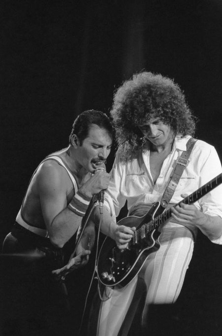 TheExtremeMusi1's tweet photo. Settle a bet for me.

Queen or Led Zeppelin

??? https://t.co/Nl4KexlDfl