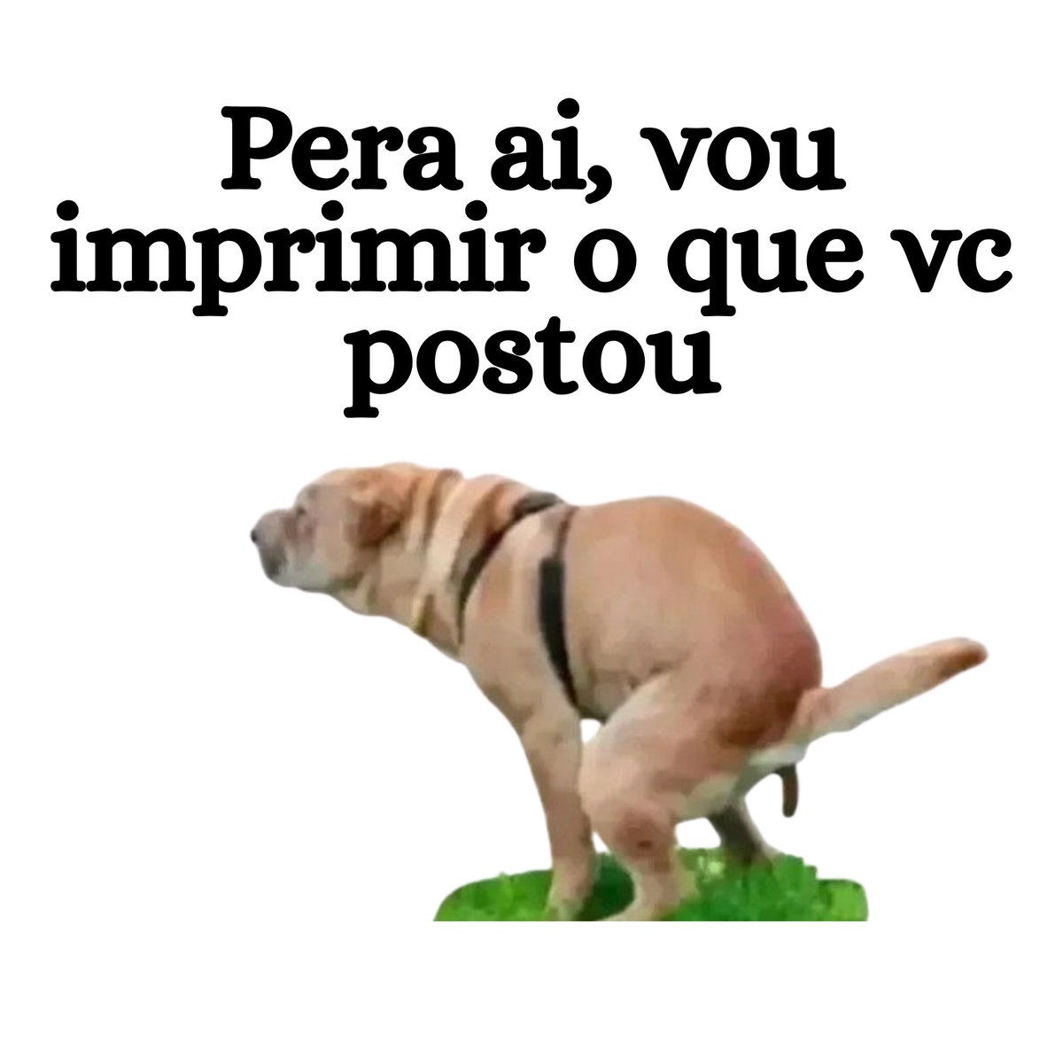 fernando_n's tweet photo. @ronaldocaiado https://t.co/6x42PLJQtW