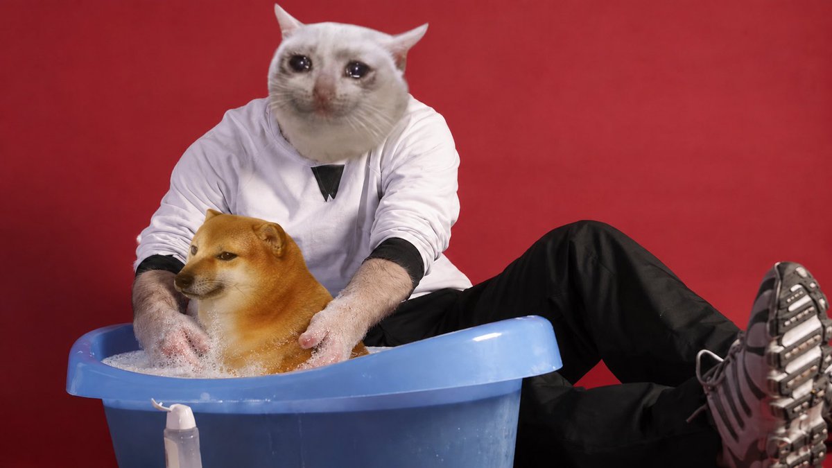 Cashdog_token's tweet photo. Behind every CashCat, there’s a CashDog

0xc85900e8f3dccaffca9bea55fc6a5462804c1bcc https://t.co/qVaugwdP8Z