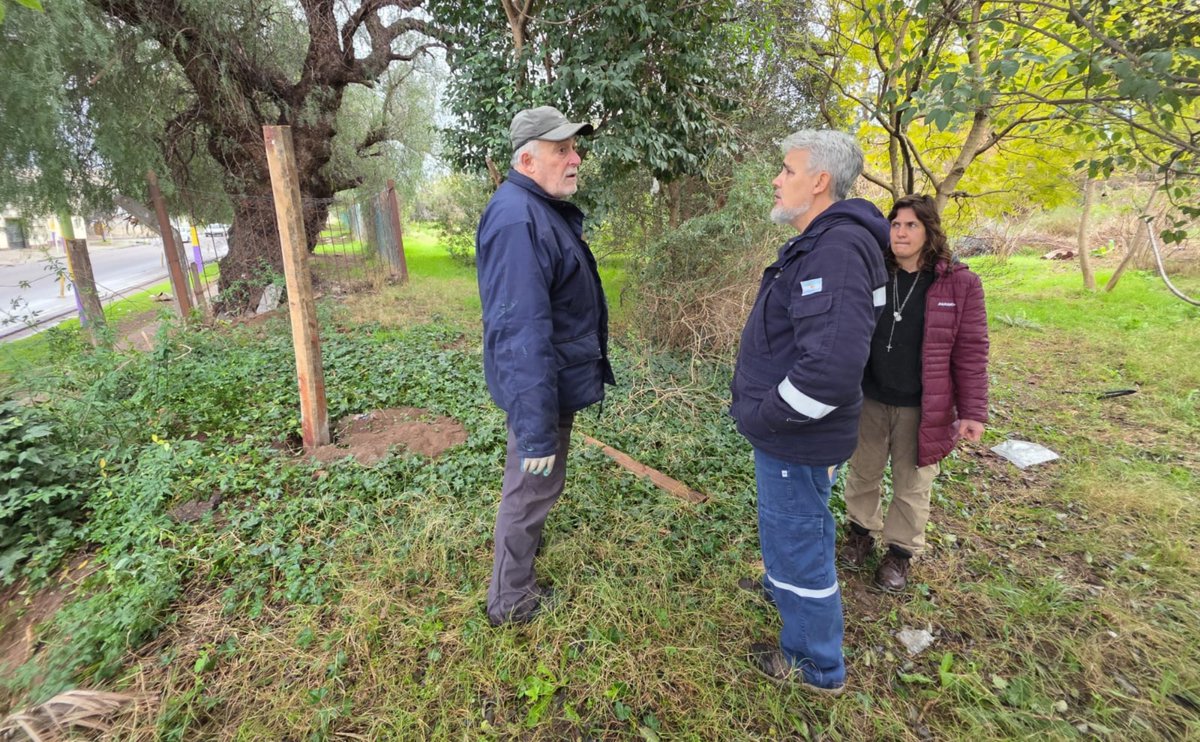 Val_Fabian's tweet photo. 🌿 Desde el minuto cero, la decisión de nuestro Intendente @fsusbielles fue acompañar, trabajar juntos y estar siempre presentes junto al #JardínBotánico🌳🌿🌱 de nuestra ciudad.

Por eso, en el día de hoy realizamos la donacion de una compostera, biopreparados, bandejas plantineras y forrajeras para siembra, macetas sopladas, accesorios para huerta,  tijera de podar y semillas de la temporada primavera/verano.🌱🌼

Cada uno de estos elementos representa una nueva oportunidad para seguir fortaleciendo este espacio tan importante para Bahía Blanca y continuar promoviendo la educación ambiental, la producción sustentable y el cuidado de nuestra biodiversidad.♻️

Este trabajo en equipo se sigue fortaleciendo, mejorando y activando cada vez que nos necesitamos. Porque cuando hay una gestión presente, que acompaña y apuesta al trabajo articulado, los resultados llegan y benefician a toda la comunidad.💚

¡Sigamos caminando juntos!♥️
#HuertasDeLaCiudad🍅🥦🌼 del @municipiobahia.