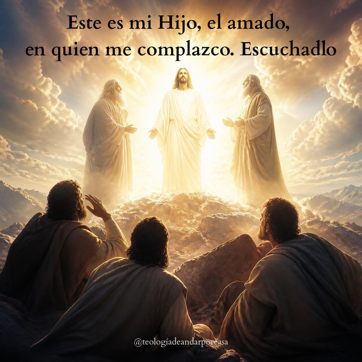 teologiadapc's tweet photo. «Señor, ¡qué bueno es que estemos aquí! Si quieres, haré tres tiendas: una para ti, otra para Moisés y otra para Elías».
Todavía estaba hablando cuando una nube luminosa los cubrió con su sombra y una voz desde la nube decía:
(Mt 17, 1-9) #EvangelioDelDía #PalabraDeDios https://t.co/0CeRWtu9wW