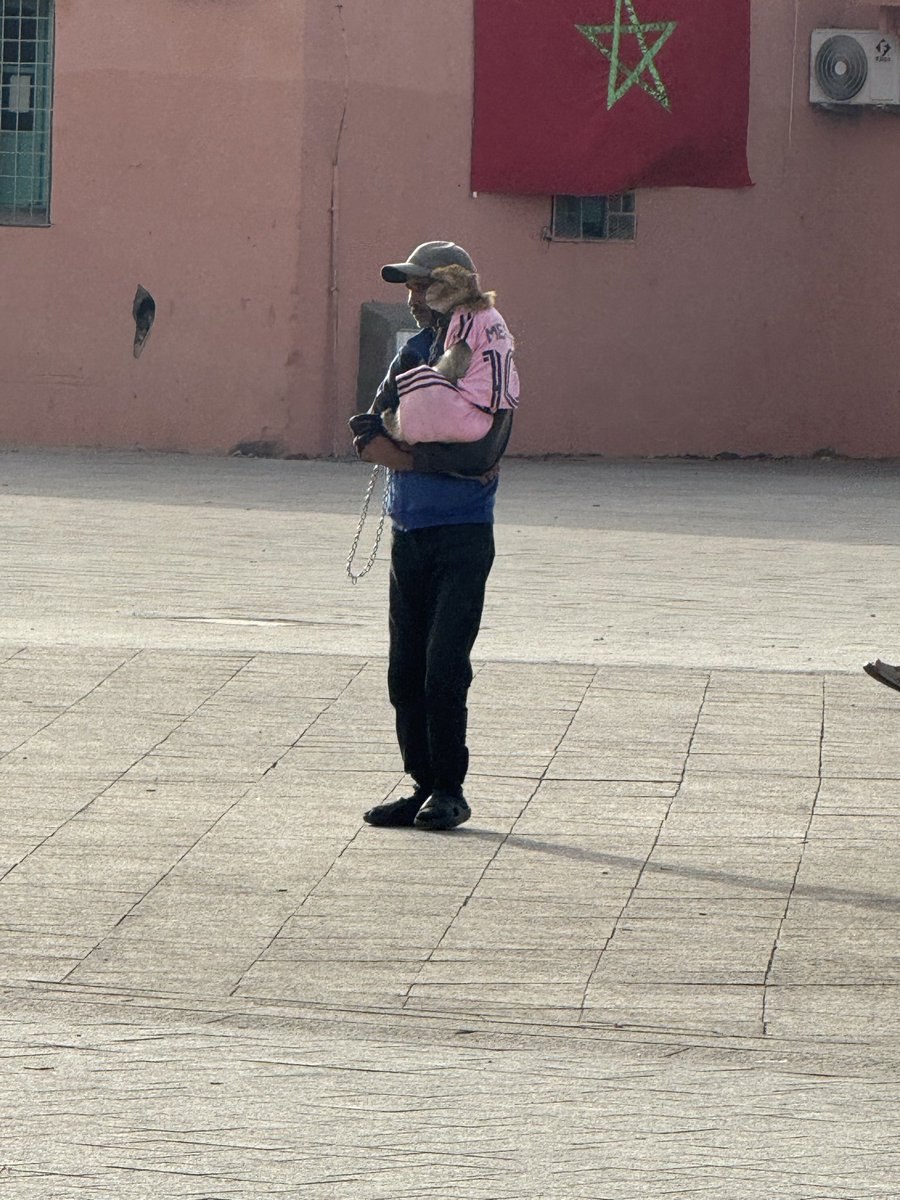 PepedelBosque's tweet photo. He visto poquísimas ciudades con tanto arraigo por el fútbol como Marrakech. Ya luego tocará hablar de lo mal que tratan a los animales; lamentable. https://t.co/9HP2esvch0