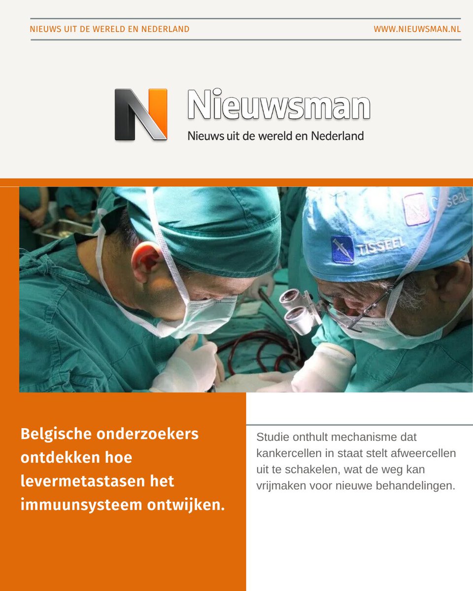 Nieuws_man's tweet photo. Belgische onderzoekers ontdekken hoe levermetastasen het immuunsysteem ontwijken. https://t.co/p1254UfjDM