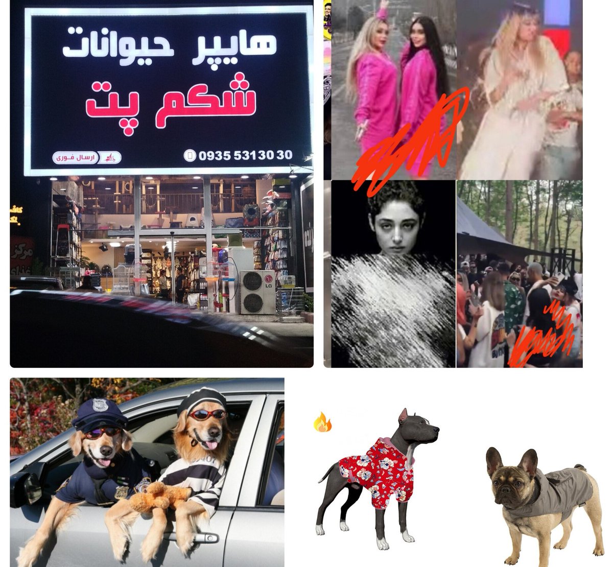 eslamloo2000's tweet photo. چرا بعضی‌ها #خلاف_قانون_طبیعت لباس‌های خودشون رو کمتر کرده و لباس، تن حیوانات‌شون می‌کنند؟
الف)حیوانات‌شون در انسانیت از این‌ها، پیشی گرفتند.
ب) انسانیتِ این‌ها به حیوانات نزدیک‌تر شده. https://t.co/cp7Pln20C1