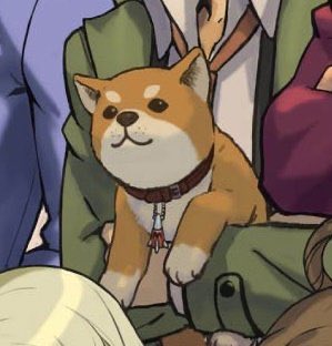 shegumonmyshoe's tweet photo. Have you seen my 🐕 dog? Now you have! https://t.co/Pjwk32kuyS