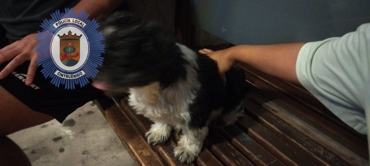 PLCintruenigo's tweet photo. Cachorro 🐶 extraviado.
Trasladado por @PLCintruenigo al #LazaretoComarcal en el #Culebrete.
Si es tuyo pasa a recogerlo. https://t.co/vHzuOTqnJv