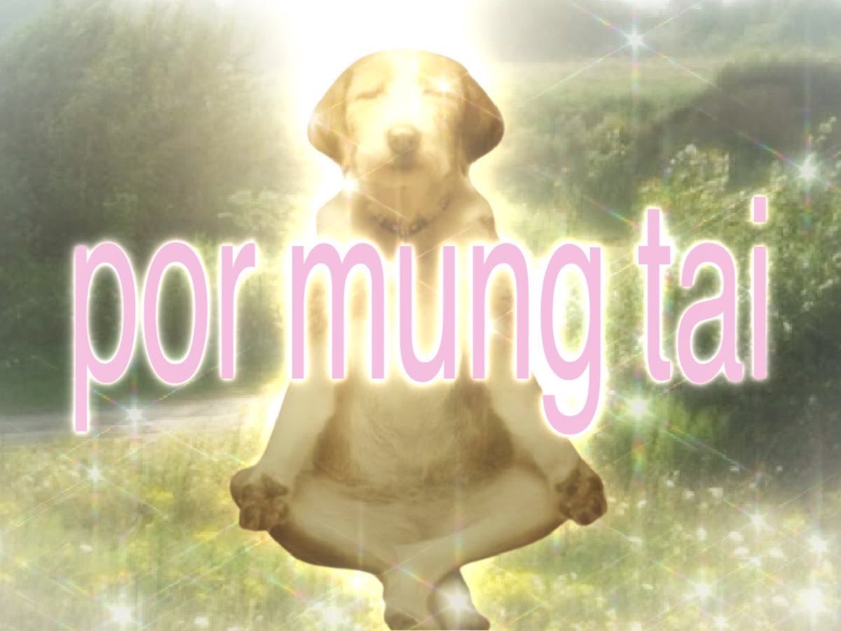 luvmoodxyeblue's tweet photo. พอเป็นมู้ดอะไรแบบนี้ มันดูซอฟท์ ดูเบิกบานแจ่มใส แต่ por mung tai นะ75555665555543445555666 https://t.co/4Y0uwVEiwU