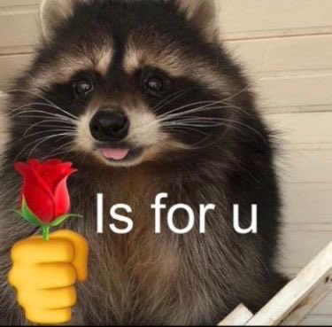 yumekosol's tweet photo. $Jimothy is officially in the right hands, CTO done amazingly at a moments notice, everyone give @manifestingdiva her flowers and respect no one else coulda done better also go follow @Jimothyworld we only get louder and louder the community has been purged of all the bad actors we have been washed in the blood, Jimothy is baptized anew, reborn in the chaos of it all