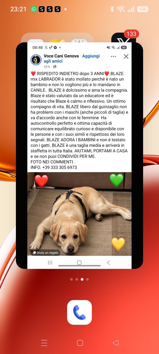 Emilystellaemi2's tweet photo. UNA BELLA FAMIGLIA PER QUESTO TESORO ❤️❤️❤️❤️❤️❤️❤️❤️❤️🙏🙏🙏🙏🙏🙏🙏 https://t.co/Hz3KGZzvff