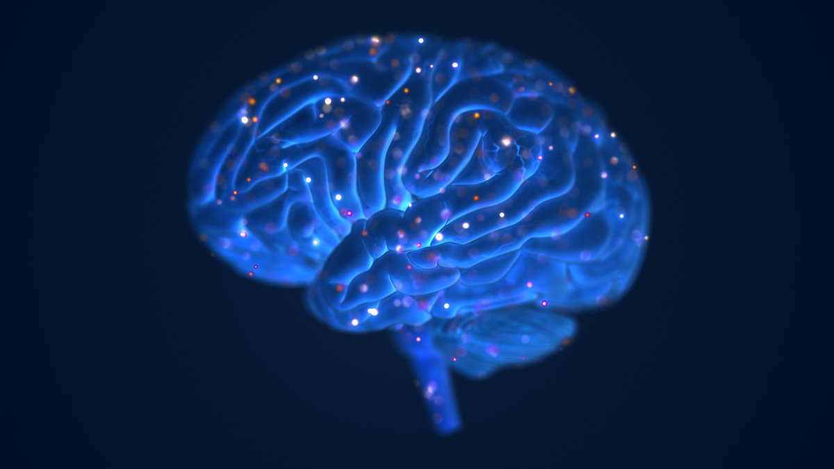 FM96Rocks's tweet photo. Music Choices Reshape Your Brain, Research Reveals [WATCH]: https://t.co/IA2nw4SSUM https://t.co/UyKDlZOPBU
