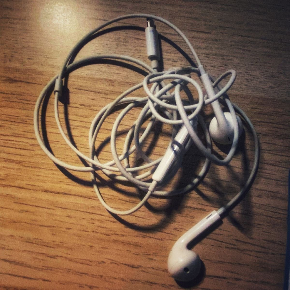 ellabsrr's tweet photo. ellie williams’ camera roll  ﹐  𓄃
             ── 𓃹 🧵🪡 https://t.co/S6szbaksXe