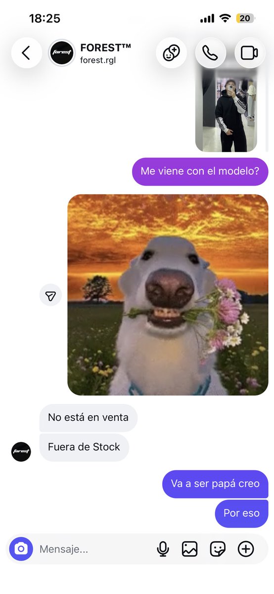 nazagutt's tweet photo. Mi novio: me voy a laburar y a despejarme de esta rompe bola
Yop: https://t.co/mODXk5OdmP