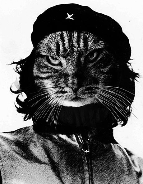 sherrysupremee's tweet photo. Cate will create a revolution https://t.co/yIn728IIzs
