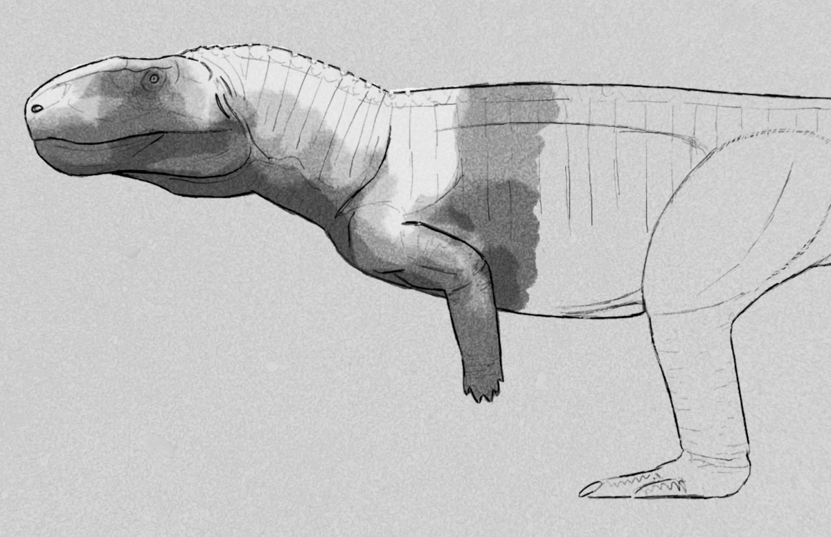 JedTaylorArtist's tweet photo. Back in 2023 I was drawing Postosuchus for a project that never got finished. I don't know if it's going to get revisited any time soon, but it's a cool animal https://t.co/ocQ9EafHI1