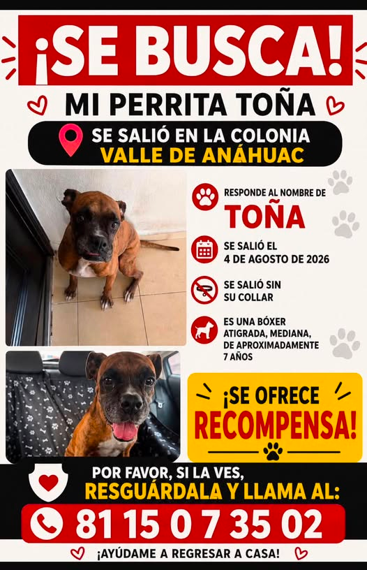 MtyFollow's tweet photo. Aviso a la comunidad de #SanNicolas https://t.co/fjb0VNqnss