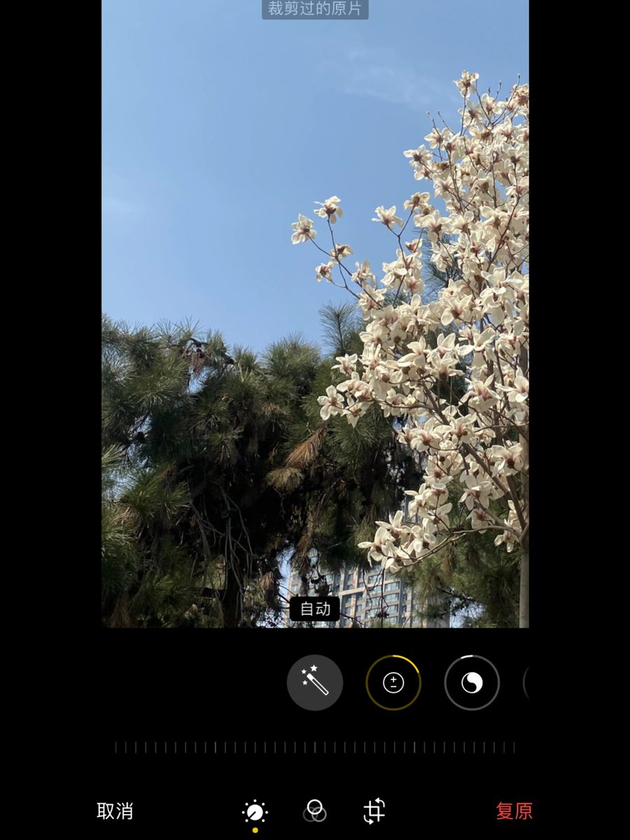 NicoleB978's tweet photo. New to photography Start with these 3 tips: shoot in natural light, focus on one subject, and keep your compositions simple. Practice 10 mins daily, you’ll see improvement fast! https://t.co/zMIOlZzDCP
