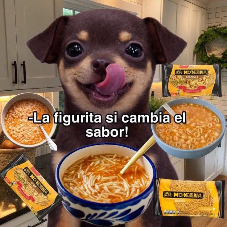 nxstypxet's tweet photo. confirmo https://t.co/gx5u0qpp5K