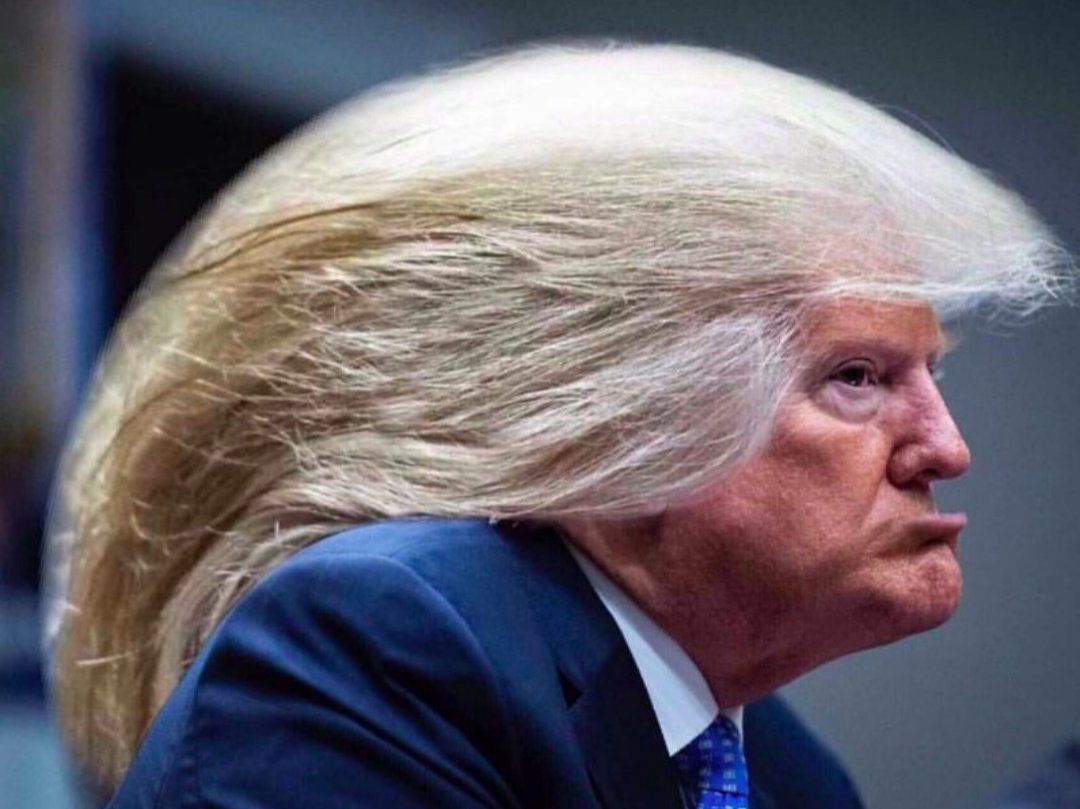BurntToastAge's tweet photo. @atrupar "Don't hate me bcuz I'm beautiful" https://t.co/voAPJzOqKO