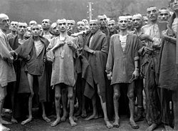 tomar75399's tweet photo. @Epoch30893675 @sarahlol1863603 i mean look at ur grandpa who was residing illegally in Germany. wanna guess what happened to him next? 😂 https://t.co/qHBtac5D3w