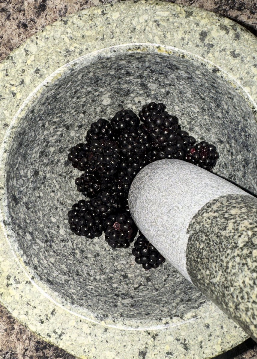 ganikoeprincess's tweet photo. siggi yogurt, freshly picked blackberries, organic white chia seeds and organic coco flakes #islandprincess https://t.co/gagnyA8CzO