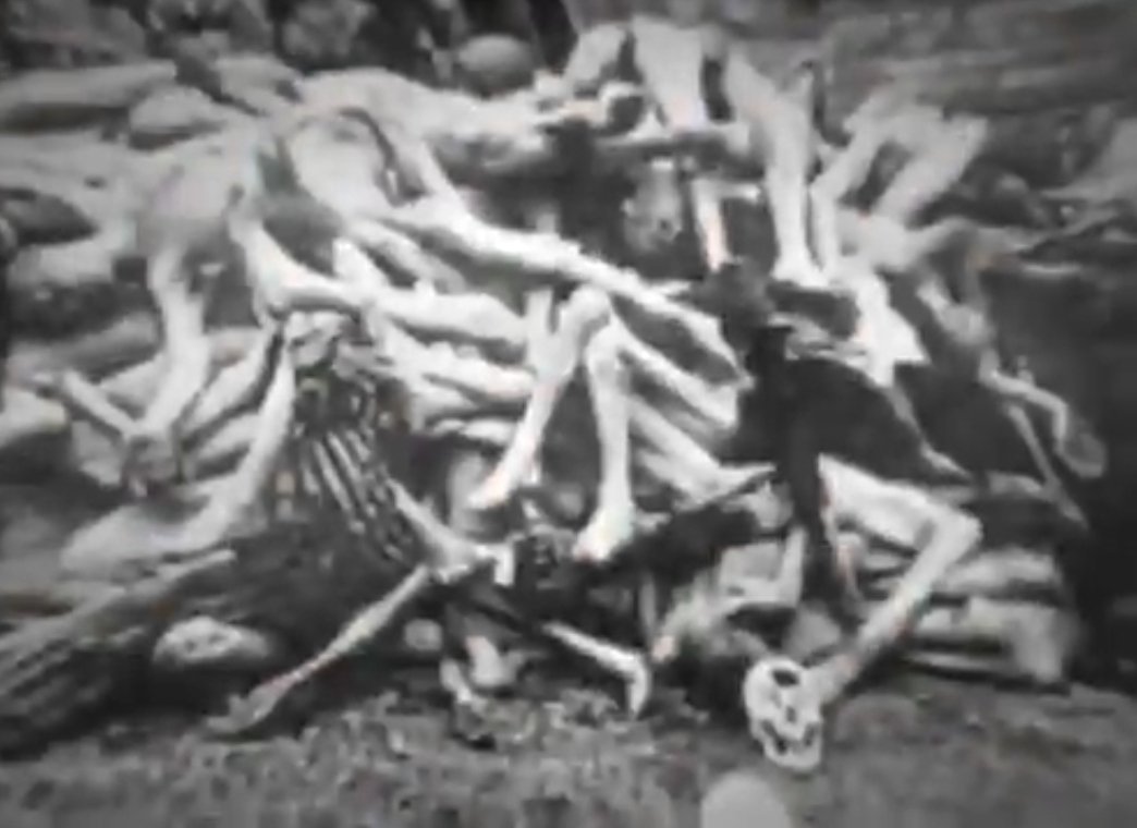 tomar75399's tweet photo. @sarahlol1863603 good references to your generational trauma from your poor grandpa who got caught by gestapo and turned into this 🤣🤣 https://t.co/OhmgWWDcUb