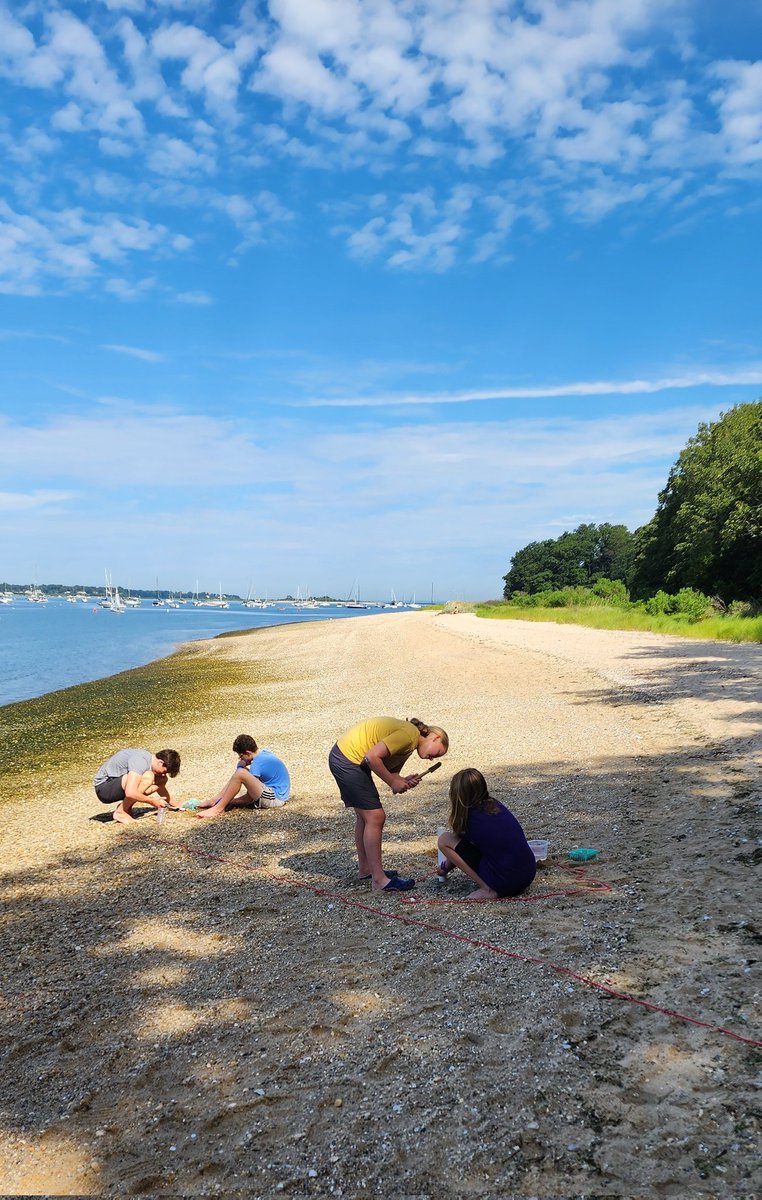 willida25's tweet photo. Day 3 of "Barcode the Bay" DNA Ecology &amp; Field work camp for students in @PortJeffNY included more sample collection &amp; documentation.  Different beach VERY different results! Tomorrow lab work!  #LISEC @DNALC @STANYSorg @NYSMTP https://t.co/tzT5LvDEjJ