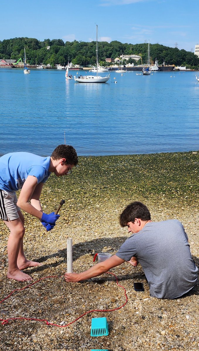 willida25's tweet photo. Day 3 of "Barcode the Bay" DNA Ecology &amp; Field work camp for students in @PortJeffNY included more sample collection &amp; documentation.  Different beach VERY different results! Tomorrow lab work!  #LISEC @DNALC @STANYSorg @NYSMTP https://t.co/tzT5LvDEjJ