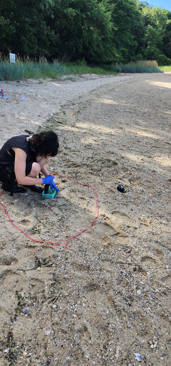 willida25's tweet photo. Day 3 of "Barcode the Bay" DNA Ecology &amp; Field work camp for students in @PortJeffNY included more sample collection &amp; documentation.  Different beach VERY different results! Tomorrow lab work!  #LISEC @DNALC @STANYSorg @NYSMTP https://t.co/tzT5LvDEjJ