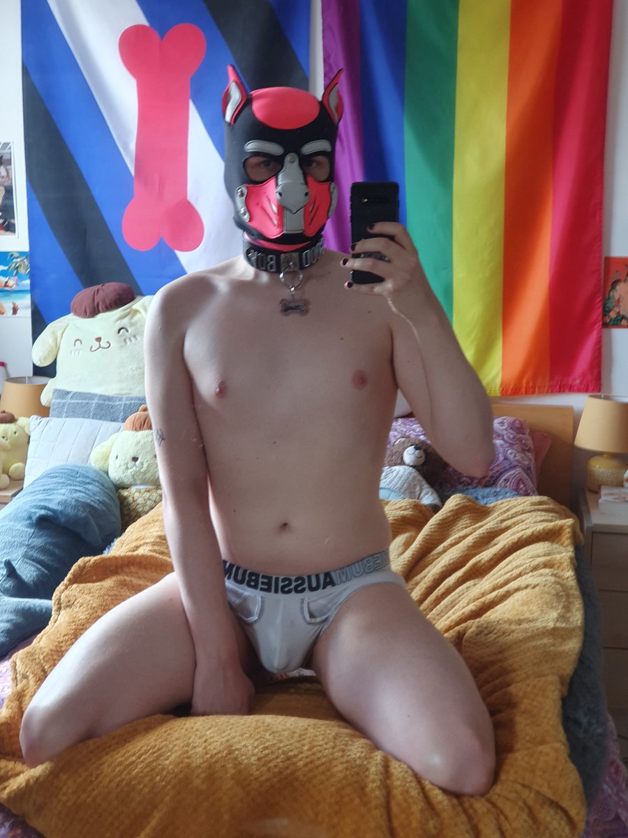 PupMoone's tweet photo. How do I look? #nationalunderwearday 🩲🐶 https://t.co/PuYahlCGDU