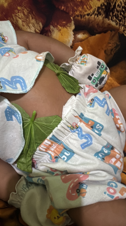 txtharihariWNI's tweet photo. Bund, ada yang sama nggak sih kalau anak kembung dikasih daun jarak di perutnya? 😭 
Anak aku pakai ini langsung dar der dor kentutnya 🤣🤣 https://t.co/QaP0ax0a6W
