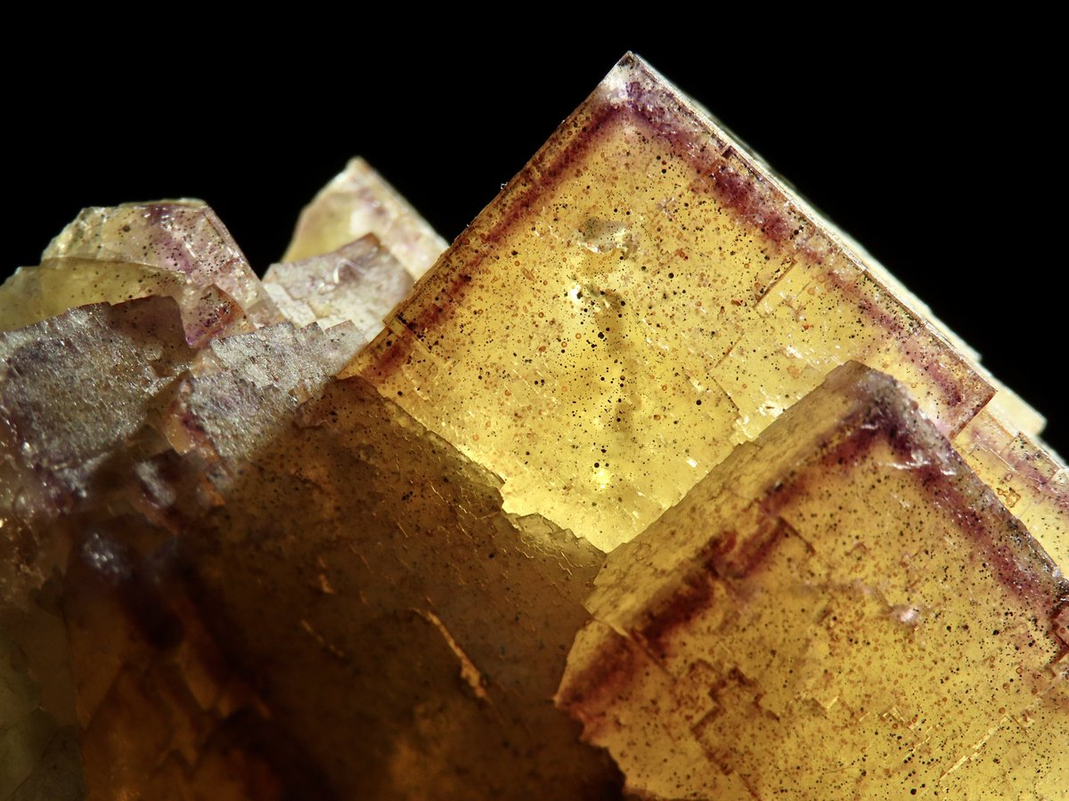 oiseau_mineral's tweet photo. Fluorite
Highway 17 roadcut, Yesno Township, Thunder Bay District, Ontario, Canada.
25.5×33.9×23.8mm https://t.co/wK8N4j20fK