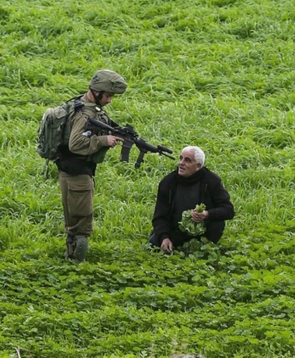 sub_allah's tweet photo. What is his fault?

Save Palestine from Is*rael 🇵🇸💔 https://t.co/aro7jiasVy