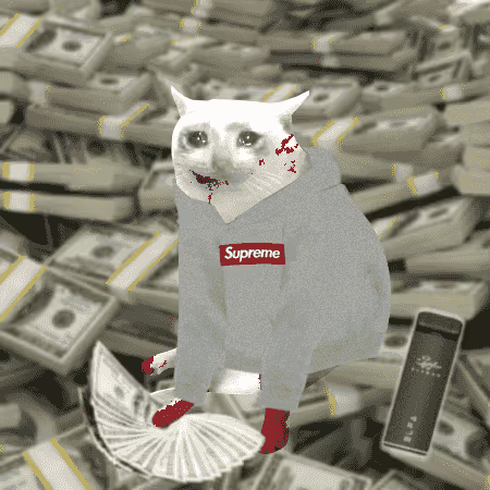 cashcatss's tweet photo. they aint believe in us but we up now https://t.co/9ov90eihr7