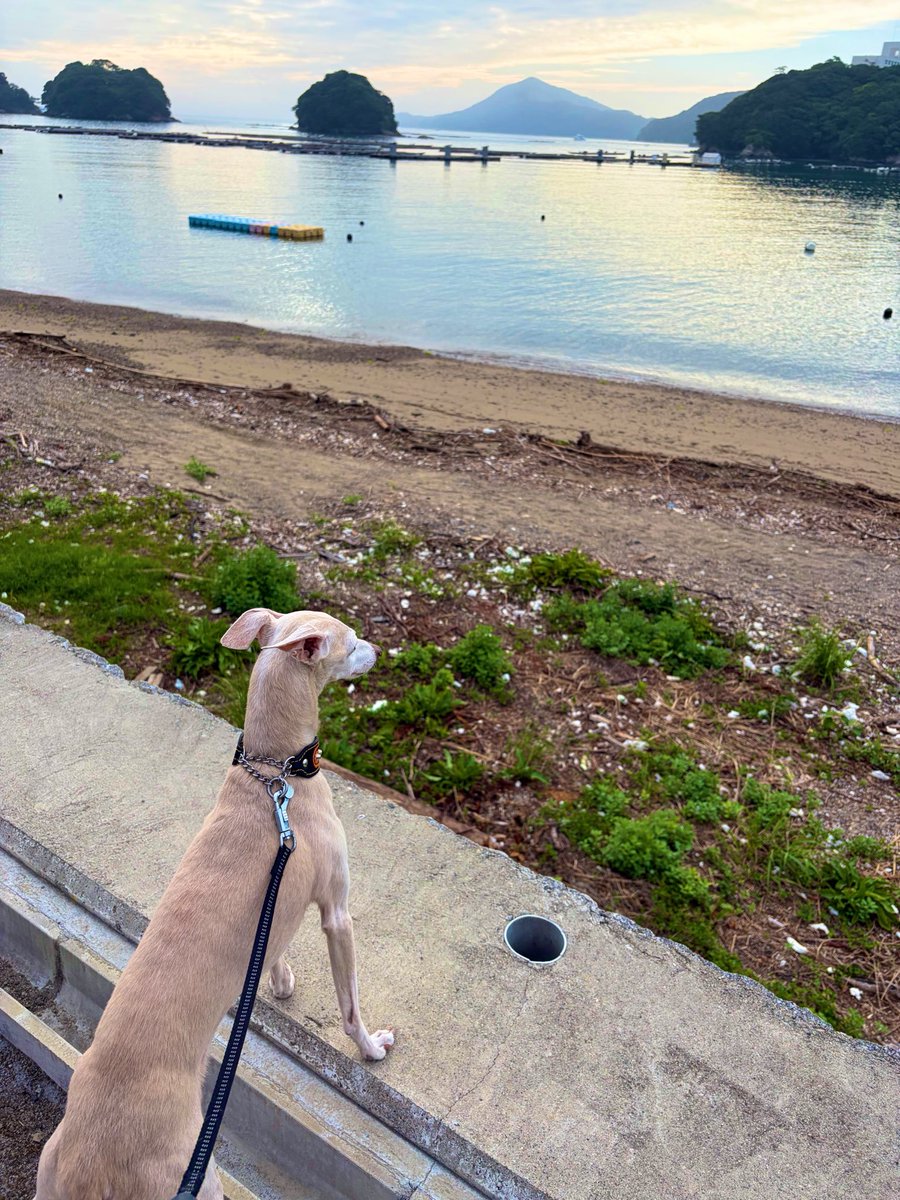 ypicoro's tweet photo. 鳥羽行ってきた https://t.co/vaBUeq2IXf