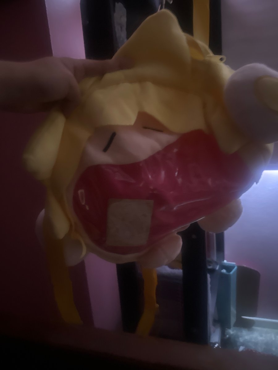 Arklaum_'s tweet photo. @marzzio180479 KUROMI PLUSHIE AND LEN ITA BAG. (I have so much more kuromi things) https://t.co/BmdvjgKRFR