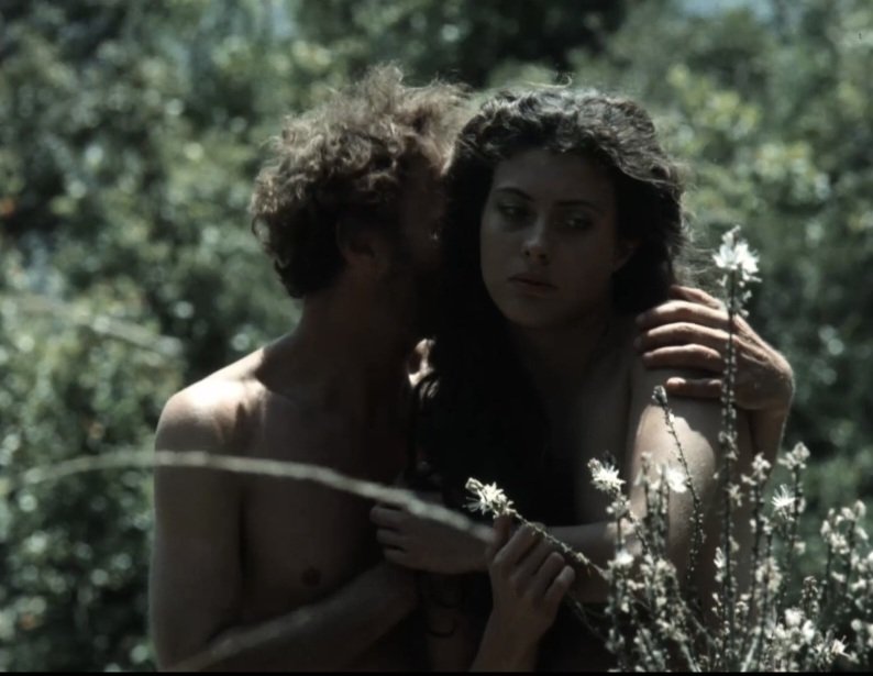 clubeedodrive's tweet photo. Nostos: il ritorno (1990, Franco Piavoli) https://t.co/Bn4WwOK1nm